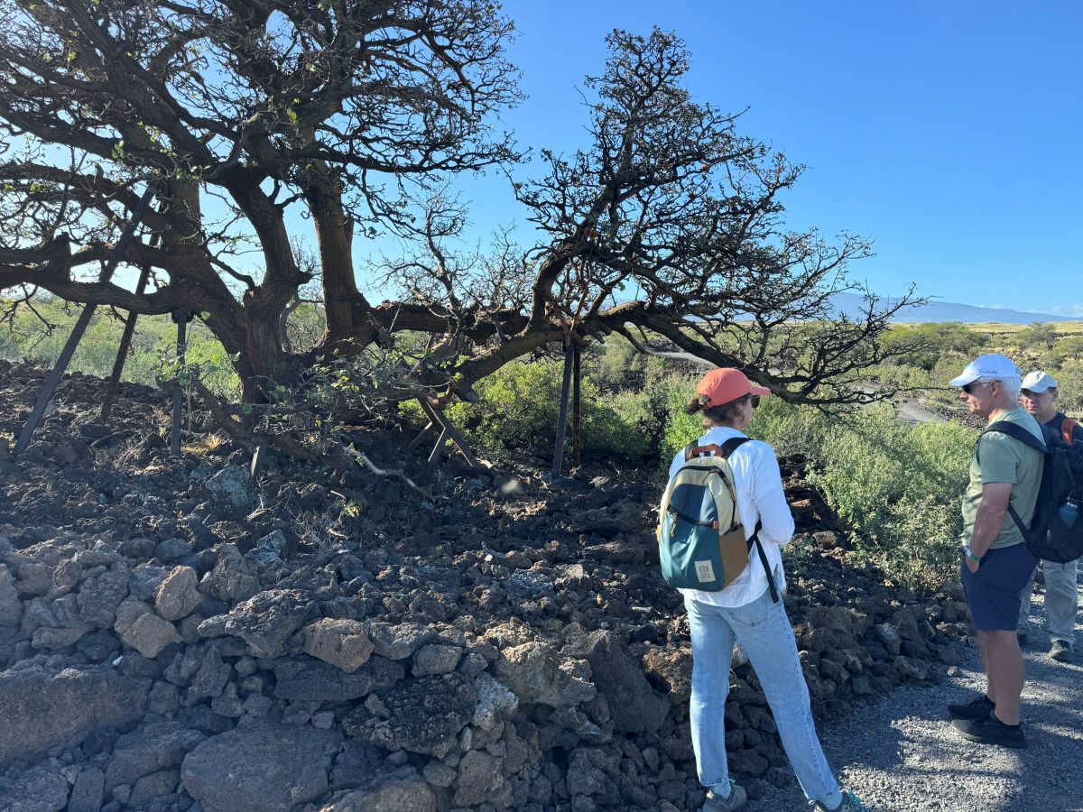 Ledcor Maui team Visits Waikōloa Dry Forest Preserve