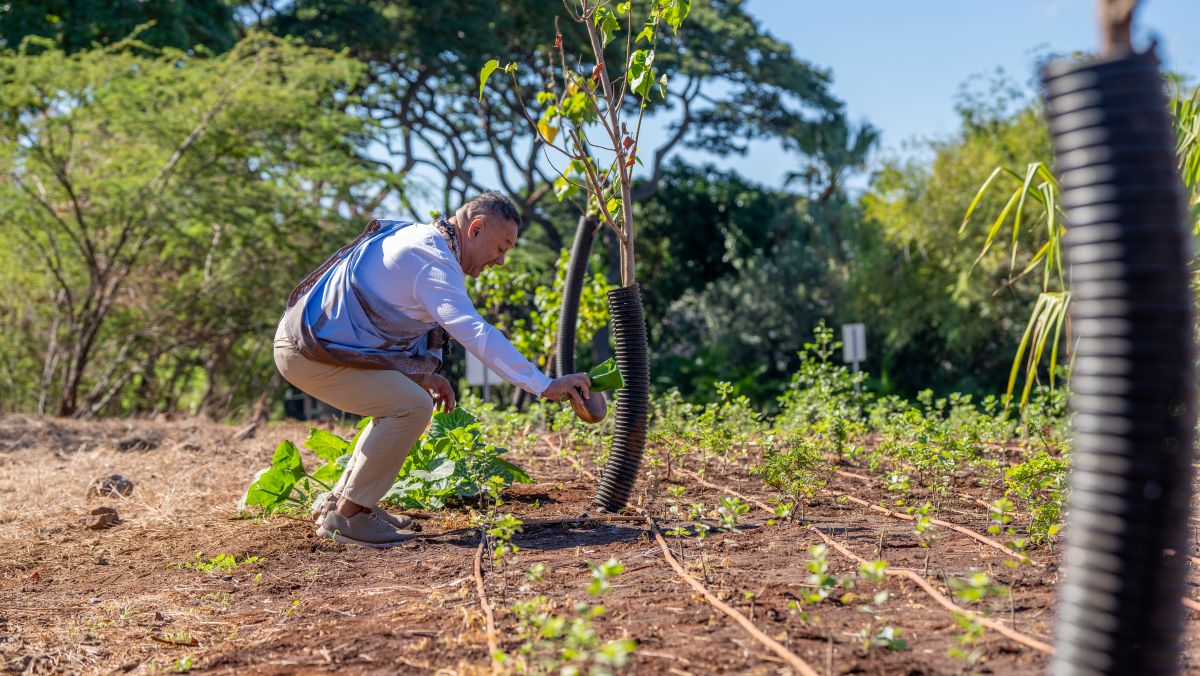 Blessing Celebrates Native Garden Corner in Wailea