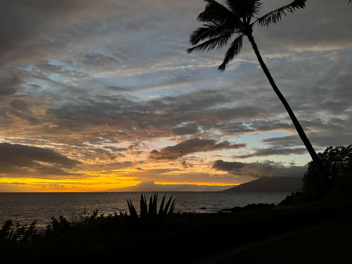 Kokūa for Hawaiʻi: Flood Relief Support for our Islands