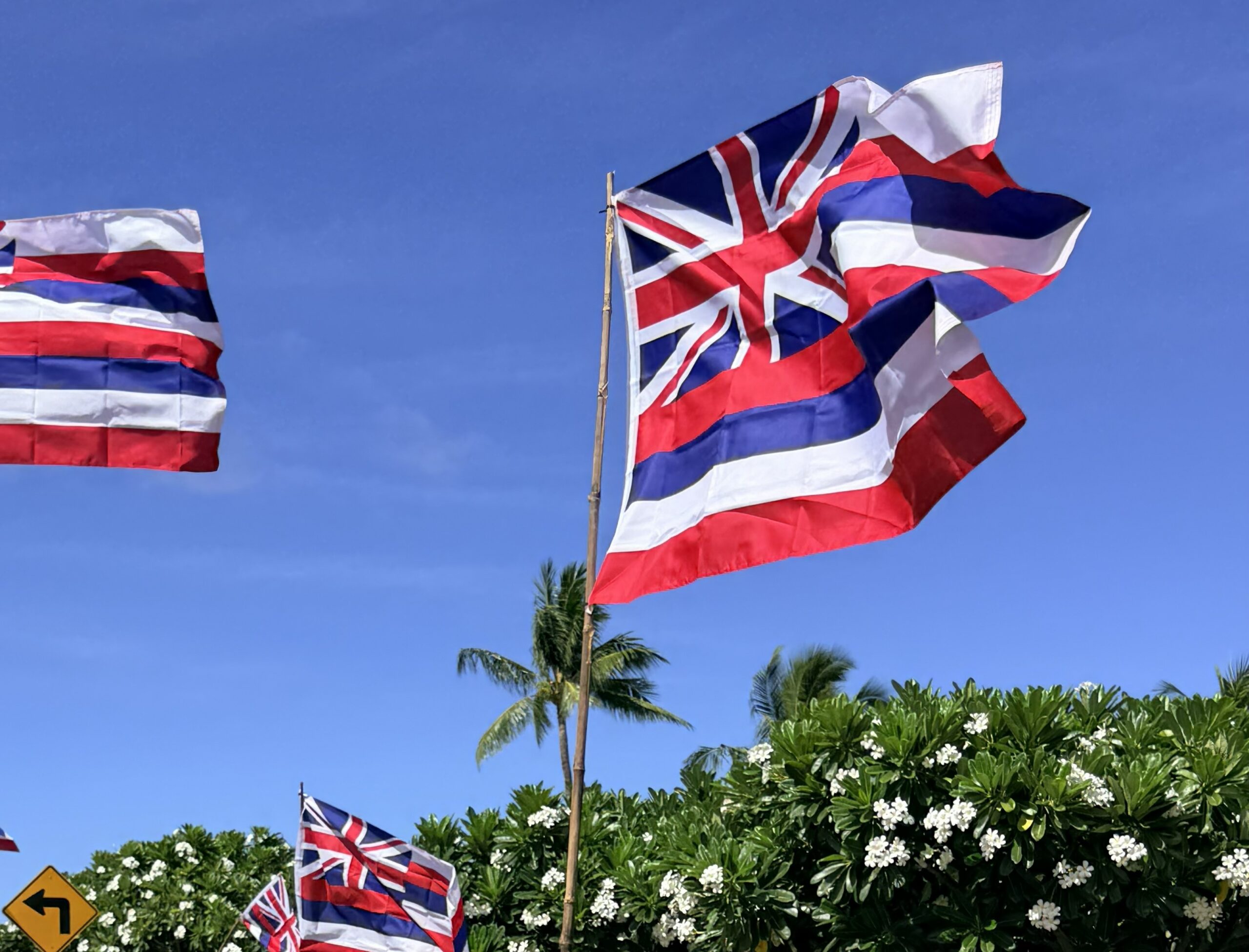 Lā Hoʻi Hoʻi Ea: Honoring Hawaiian Sovereignty Restoration Day