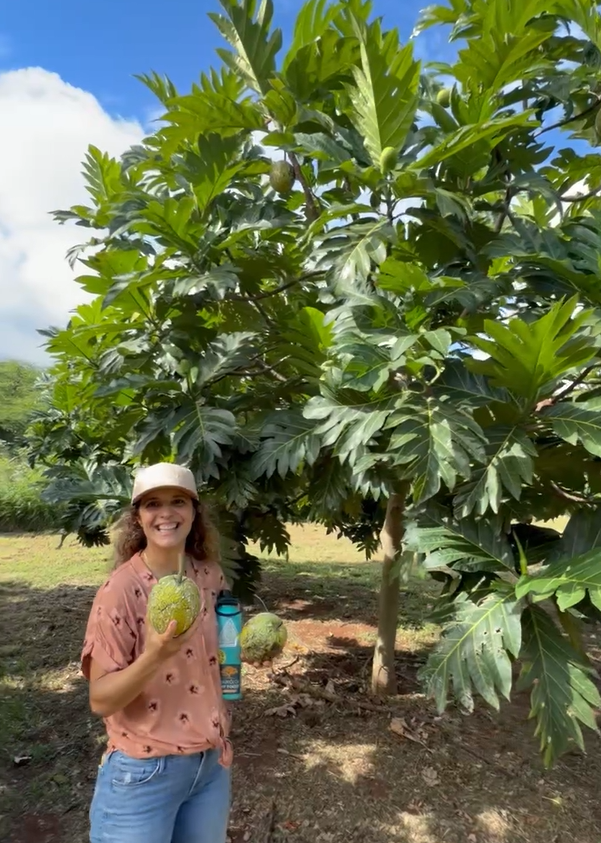 Ledcor is proud to sponsor Ku Mai Ka Hula
