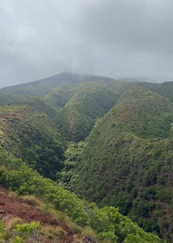 Ku Mai Ka Hula