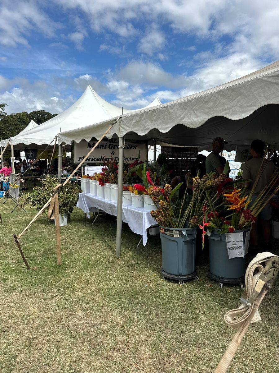 Ledcor is proud to sponsor Ku Mai Ka Hula